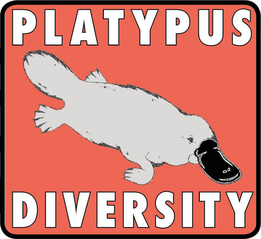 Logo Platypus. Trabajo realizado: Nueva página web accesible.